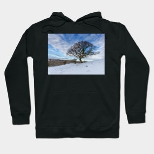 Muggleswick Tree Hoodie